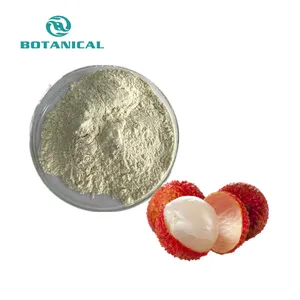 High Quality Best Selling Products Fresh Lychee Extract Powder 40% Polyphenols Litchi Extract