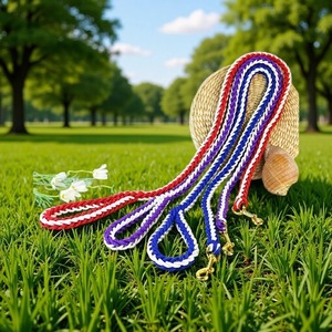 Rarewe Pet Supplies No Pull <strong>Dog</strong> <strong>Lead</strong> Rope Custom Logo Color Blocking Braided <strong>Dog</strong> <strong>Collar</strong> and Leash Set Luxury <strong>Dog</strong> Leash - Product Image 4