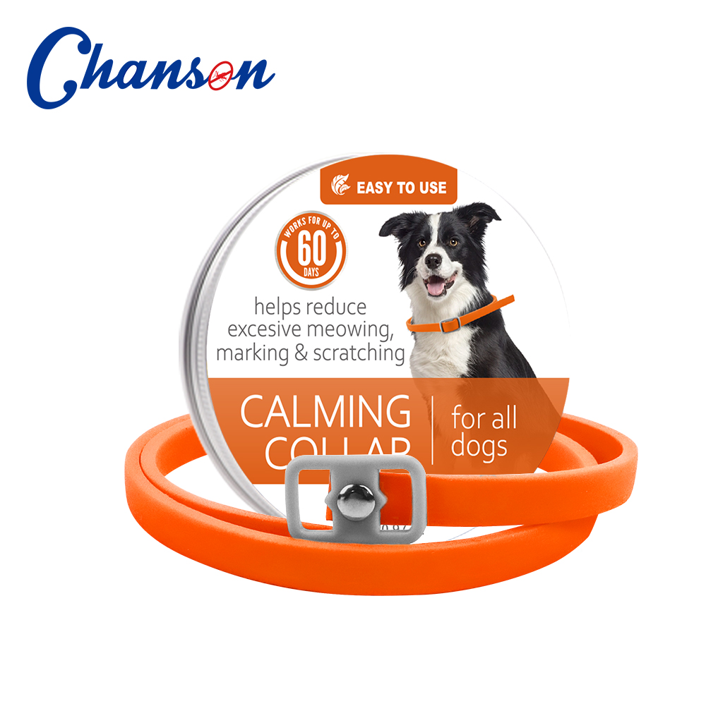 Orange (chien)