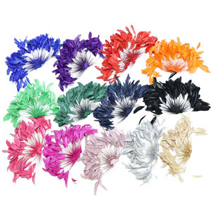 Piume di Gallo Tinte Premium all'Ingrosso, Applicazioni <span class=keywords><strong>per</strong></span> Costumi di Carnevale, Copricapo da Showgirl e Progetti Fai-da-Te - Product Image 1