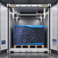 Premium Grade A IQF Diepvries Blauwe Bessen Groothandel 10kg/25kg Kartons voor Bakkerijen, Sappen, Smoothies, Natuurlijk IQF Diepvries Fruit