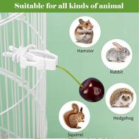 Vogelkooi Accessoires Pet Vogel Voedsel Houder Papegaai Fruit Groenten Clip Vogel Kooi Clips