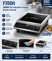 Tischplatte 3500W Hochleistungs-Edelstahl-Wok Konkaver Kommerzieller Elektrischer Induktionsherd Freistehender Wok-Brenner 220V