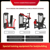 Équipement de musculation en acier de haute qualité à poids réglable, de type insert, pour usage commercial en gros, ciblant le dos, les bras, les jambes et le tronc