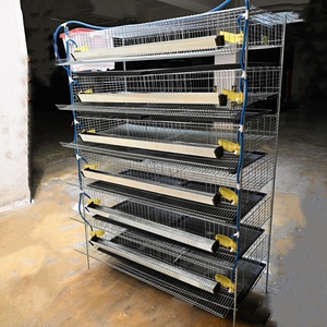 Nuova Attrezzatura per Allevamento di Animali e Pollame, Gabbia per Quaglie e Galline Ovaiole in Filo d'Acciaio a Basso Tenore di Carbonio, Capacità 200-400, Lunga Durata - Product Image 5