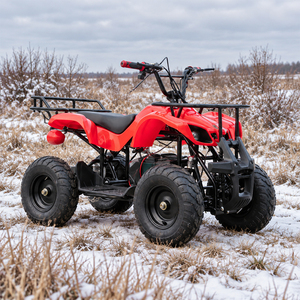 <span class=keywords><strong>Quad</strong></span> <span class=keywords><strong>électrique</strong></span> <span class=keywords><strong>36V</strong></span> 500W, 3 vitesses, 2 roues motrices, tout-terrain, capacité de charge de 80 kg - Product Image 1