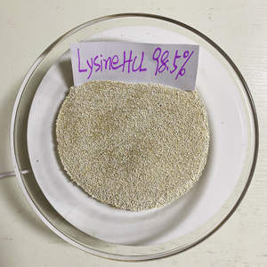 Materie Prime per Mangimi Avicoli L-Lisina Sacchetto da 25kg L-lisina HCL 98,5% - Product Image 2