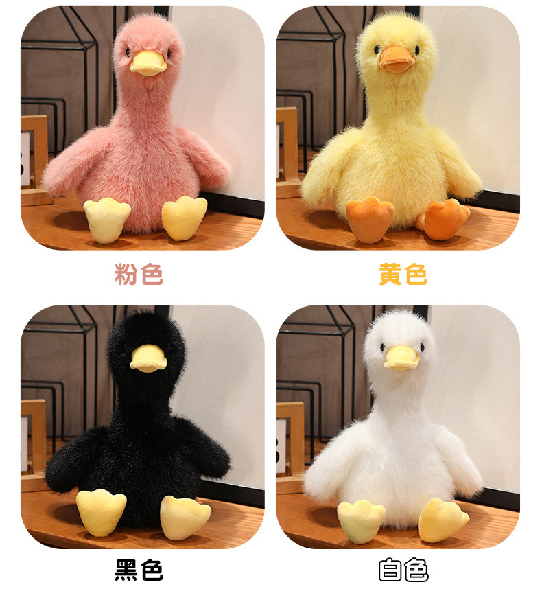 Tutti gli Stili/Colori/Taglie Disponibili