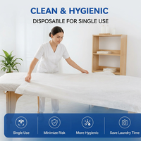 Ensemble de draps jetables confortables en quatre pièces avec housses de couette et taies d'oreiller, respirant pour les hôtels, les familles et les hôpitaux
