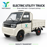 YOTJOULE Camion utilitaire électrique, mini-camion de transport, camionnette, véhicule électrique, camion à benne basculante, avec plateau à bords rabattables pour services sur campus