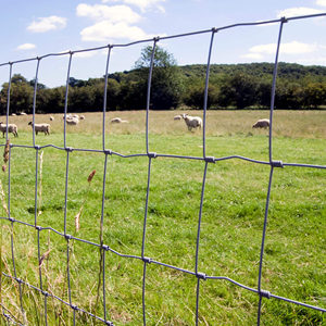 Clôture de champ et de ferme à prix d'usine en promotion – Rouleau de clôture galvanisée pour bétail et moutons - Product Image 2