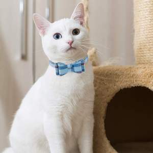 EXPAWLORER Puppy Set-Broderie Pawprints Plaid Chien Avec Noeud Papillon Bandana, Collier Mignon Laisse Pour Chiens Et Chats, Bleu XS - Product Image 6