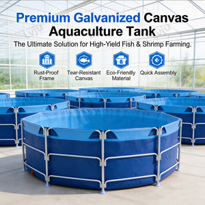 <span class=keywords><strong>Bassin</strong></span> d'élevage de poissons-chats en PVC étanche, assemblé avec tubes galvanisés renforcés LVJU, pour l'élevage en terres sèches en Afrique - Product Image 2