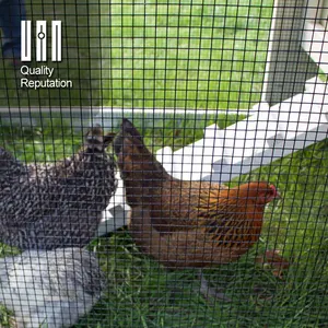 4x4 galvanized welded wire mesh panel for hog mice bird chicken pens rabbit cage fence dog kennel 1/2"x1" in 12 gauge wire