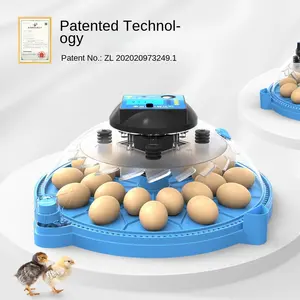 Tigarl 50 huevos Lahore Pakistán Precio Calentador solar alimentado por batería Comprar en línea Couveuse Oeuf Automatique Incubadora de huevos automática