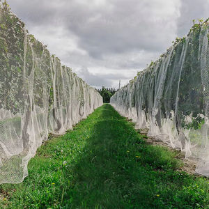 רשת חזקה-ציפור הפנה עמיד מרבית העמידות חקלאיות מוצר פלסטיק - Product Image 1