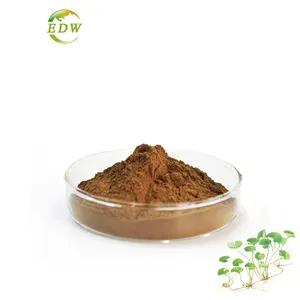 Plant Extract Centella Asiatica Extract 80% Gotu Kola Leaves Powder