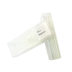 Juego de 5 Portaobjetos Preparados para <span class=keywords><strong>Microscopio</strong></span> de Biología: <span class=keywords><strong>Cebolla</strong></span>, Judía, Pino, Madera de Pino y Abeja, para Laboratorio Estudiantil - Product Image 3