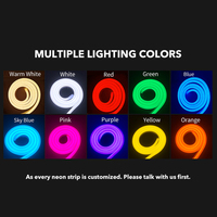 Nouvelle génération de tubes au néon décoratifs de fête 5V 12v bandes lumineuses flexibles Silicone vert Flex Led néon