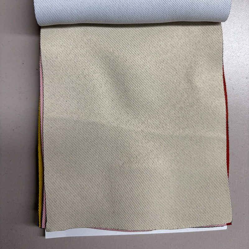 2 échantillons de cartes de couleur beige - livre d'échantillons en couleur