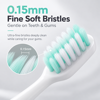 Brosse à dents manuelle portable pour adultes OEM & ODM, poils souples de 0,15 mm, brosse à dents de voyage avec étui pour usage quotidien à la maison et à l'hôtel