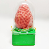 Vente en gros OEM de bâtonnets glacés 3D en forme de fruits, pêche et chocolat, 75g*12pcs/ctn, snacks congelés exotiques
