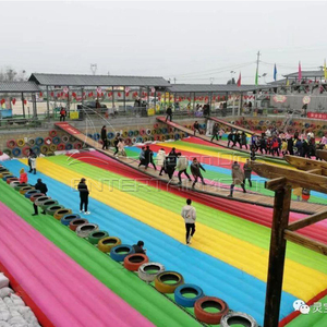 Basso investimento pazzo attrezzature di intrattenimento per adulti e per bambini gioco attraente fiera parco gioco <span class=keywords><strong>giostre</strong></span> oscillare ponte - Product Image 1
