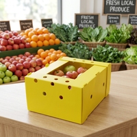Boîte en PP ondulé pour fruits et légumes, impression couleur, étanche, fournisseur OEM, boîte de stockage et de transport en plastique PP