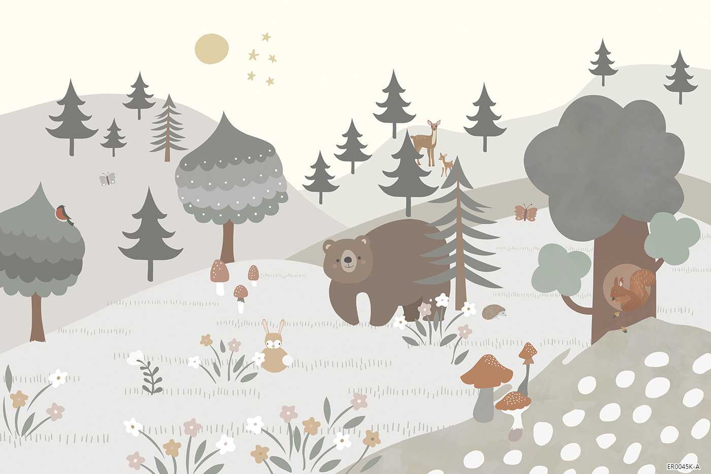 ER0045K-A   ER0045K-A