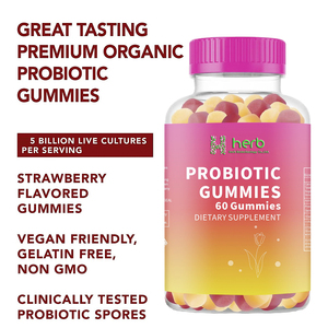 Gummies Probiotiques Biologiques Sans Sucre Marque Privée OEM/ODM – Idéales pour la Santé Intestinale - Product Image 3