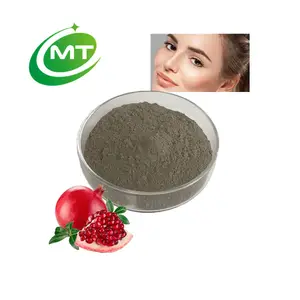 Punica Granatum Extract ISO High Quality 100% Pure Nature Organic Pomegranate Peel Extract 40% 70% 90% Ellagic Acid For Skin