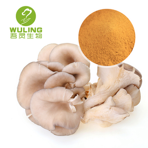 Pleurotus-Polvo de seta Ostreatus, de alta calidad, con aire seco - Product Image 2