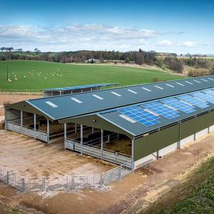 Estructura de acero edificios pollo 12 colores venta al por mayor casa prefabricada con baño - Product Image 3