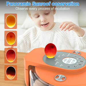 Incubadora de Huevos de Pato con Volteo Automático, Control de Temperatura y Humedad, Lámpara LED, Capacidad para 15 Huevos, Uso Profesional en Casa o Granja - Product Image 6
