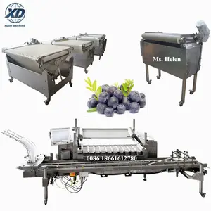 1 Ton/hour blueberry processing line without damage, raspberry sorting weighing and packing line