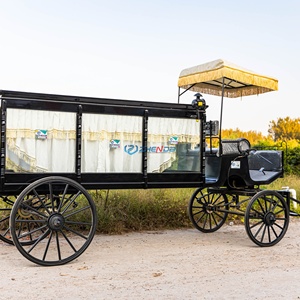 Popular Funeral Vintage Horse Wagon Glass Covered Funeral Hearse Electric Horse Drawn Hearse Coffin Carriage for Sale - Product Image 5