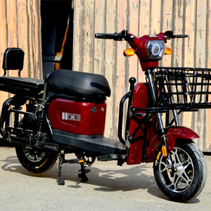 Motocicleta Eléctrica Cargo King, Entrega de Agua, Transporte de Carga, Motor de Súper Potencia, Scooter Eléctrico, Gran Oferta - Product Image 5