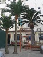 Künstliche Palmen für Innenräume Kokospalmen-Pflanzen mit Blättern 2m Outdoor Washington Künstlicher Palmenbaum