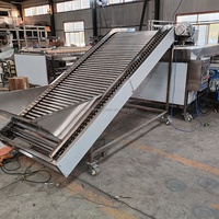Bosbessen sorteermachine, fruit sorteermachine, kersentomaat, ui sorteermachine, appel, citrus, ui selectiemachine, avocado fruit sorteermachine