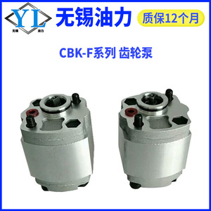ปั๊มไฮดรอลิกแบบเกียร์รองรับอุตสาหกรรมประสิทธิภาพสูง CBK-F0.8122.02.52.73.0 ชุดจ่ายกำลังปั๊มน้ำมันไฮดรอลิก - Product Image 2