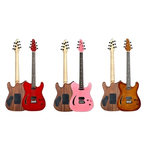 <span class=keywords><strong>Guitare</strong></span> électrique semi-hollow WaveGarden E20TL - Prise en charge OEM/ODM - Product Image 1