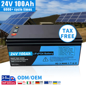 Paquete de Baterías de Litio de 12V 12.8V 24V 25.6V 36V 50Ah 100Ah 200Ah 280Ah 300Ah para Barcos, Paquete de Baterías de 48V 51.2V 60V - Product Image 1