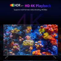 MORTAL Q5 Plus Android 14 TV Stick 4K Boîtier Smart TV 2GB+16GB Lecteur Multimédia IPTV Double WiFi Commande Vocale