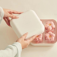 OEM/ODM personnalisé boîte de moule de pâte écologique bac de papier recyclé boîte de pâte moulée pour l'emballage