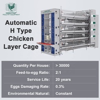 Système de cages à poules pondeuses entièrement automatique galvanisé de type H à 4 niveaux pour l'élevage commercial de volailles et la production d'œufs