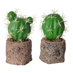 Phòng Trang Trí Nội Thất Lớn Nhân Tạo Chậu Cây Xương Rồng Cây Cọ - Product Image 5