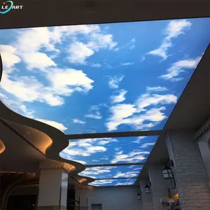 wholesale new product Real 3D Vision Blue sky stretch ceiling for Malaysia massage steam shower room