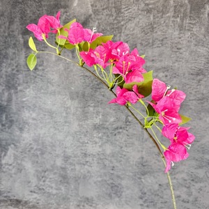 <span class=keywords><strong>Fleur</strong></span> artificielle <span class=keywords><strong>de</strong></span> bougainvillier, décoration intérieure et extérieure, <span class=keywords><strong>fleur</strong></span> en soie, aménagement paysager <span class=keywords><strong>de</strong></span> mariage, vigne <span class=keywords><strong>grimpante</strong></span>, accessoires <span class=keywords><strong>de</strong></span> photographie - Product Image 5