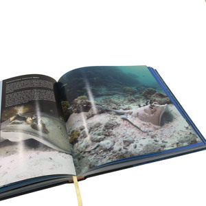 Vente d'usine Impression personnalisée de haute qualité Couverture rigide Photographie Livre Design Paysage Art Livre pas cher Impression sur demande - Product Image 2