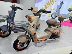 Bicicleta Eléctrica Urbana DF 2024 Nueva al por Mayor, 800W, con Canasta, a la Moda - Product Image 5